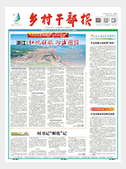 乡村干部报